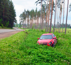 Similar image 7448307