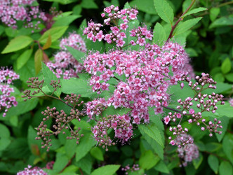 Similar image 7448308