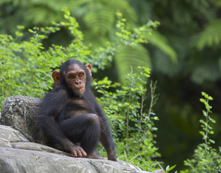 Similar image 7448489