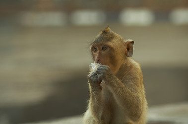 Similar image 7448496