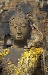 Similar image 7448497