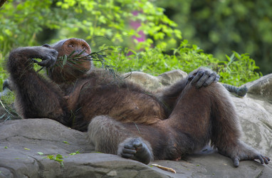 Similar image 7448500