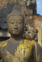 Similar image 7448508