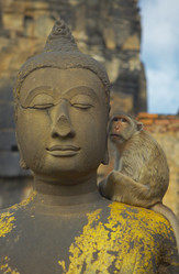 Similar image 7448509