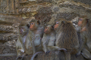 Similar image 7448510