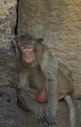 Similar image 7448511