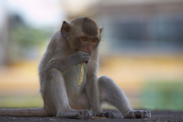 Similar image 7448512