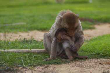 Similar image 7448513