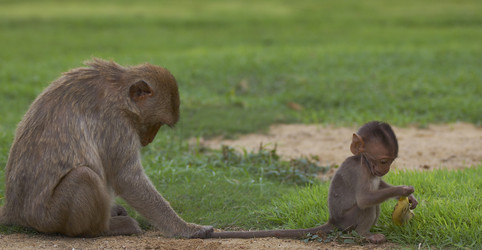 Similar image 7448514