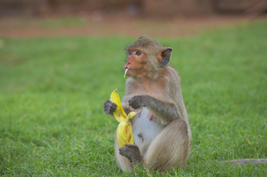 Similar image 7448517