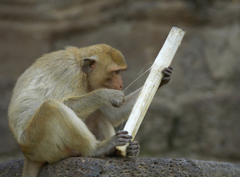 Similar image 7448519