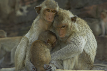 Similar image 7448521