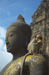 Similar image 7448531