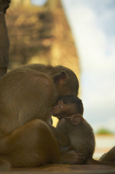 Similar image 7448533