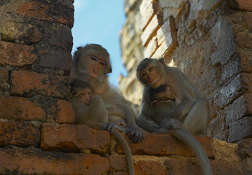 Similar image 7448536