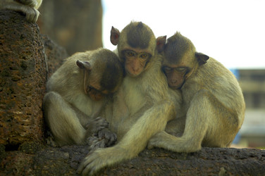 Similar image 7448539