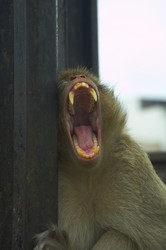 Similar image 7448549