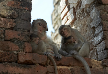 Similar image 7448550