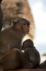 Similar image 7448551