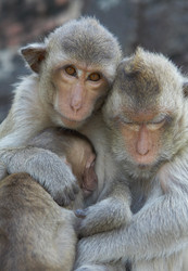 Similar image 7448552