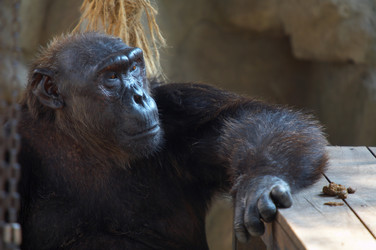 Similar image 7448553