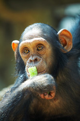 Similar image 7448554