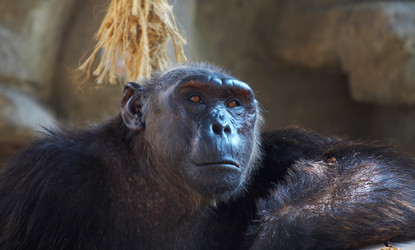 Similar image 7448556