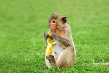 Similar image 7448558