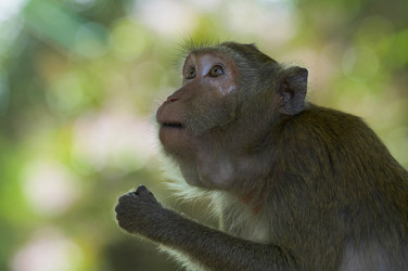 Similar image 7448559