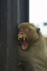 Similar image 7448560