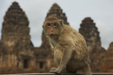 Similar image 7448561