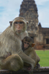 Similar image 7448562