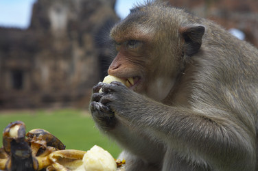 Similar image 7448566