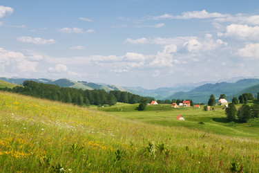 Similar image 7448577