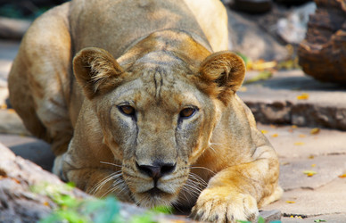 Similar image 7448580