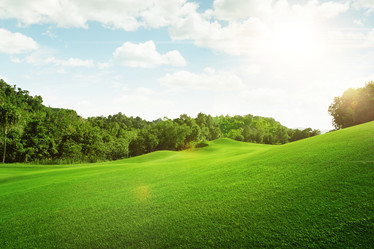 Similar image 7448582