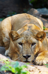 Similar image 7448588