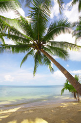 Similar image 7448688