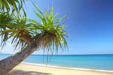 Similar image 7448690