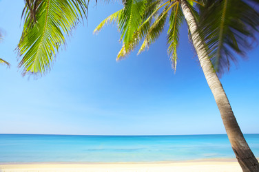 Similar image 7448692