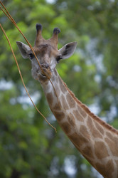 Similar image 7448695