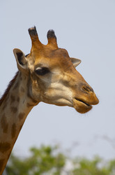 Similar image 7448696