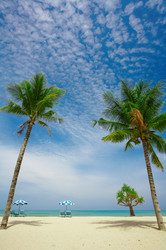 Similar image 7448701