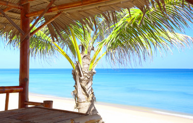 Similar image 7448703