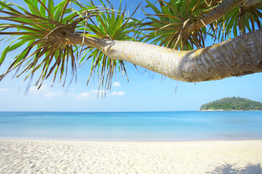 Similar image 7448711