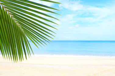 Similar image 7448712