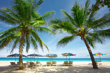 Similar image 7448714