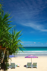 Similar image 7448722