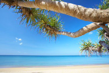 Similar image 7448723