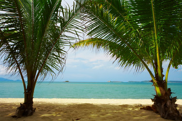 Similar image 7448724